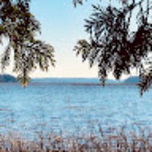 Meet your Posher, Cayden